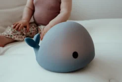 Flow Nachtlamp Moby Blauw