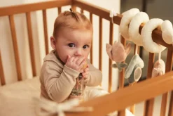 Jollein Activiteitenspiraal Lovely Birds