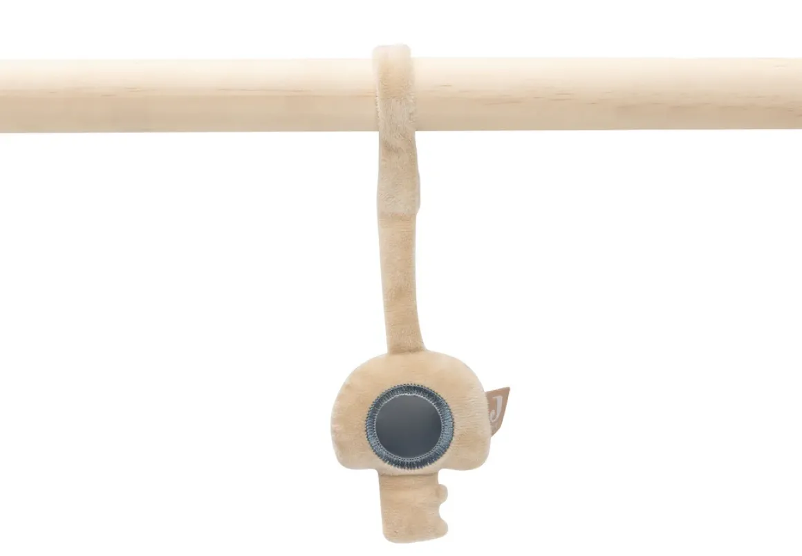 Jollein Babygym Speeltjes On The Go