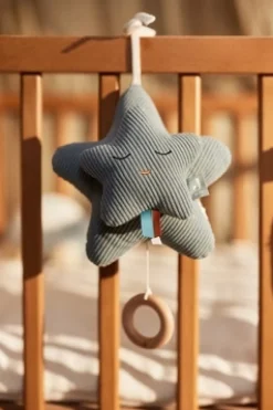 Jollein Muziekhanger Star Sea Green