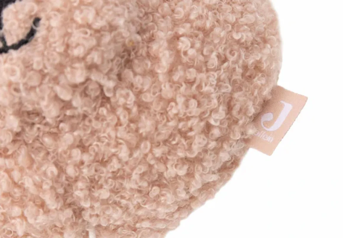 Jollein Muziekhanger Teddy Bear Wild Rose