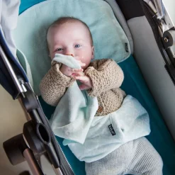 KipKep Knuffel Speendoekje Roggy Roccy Mint