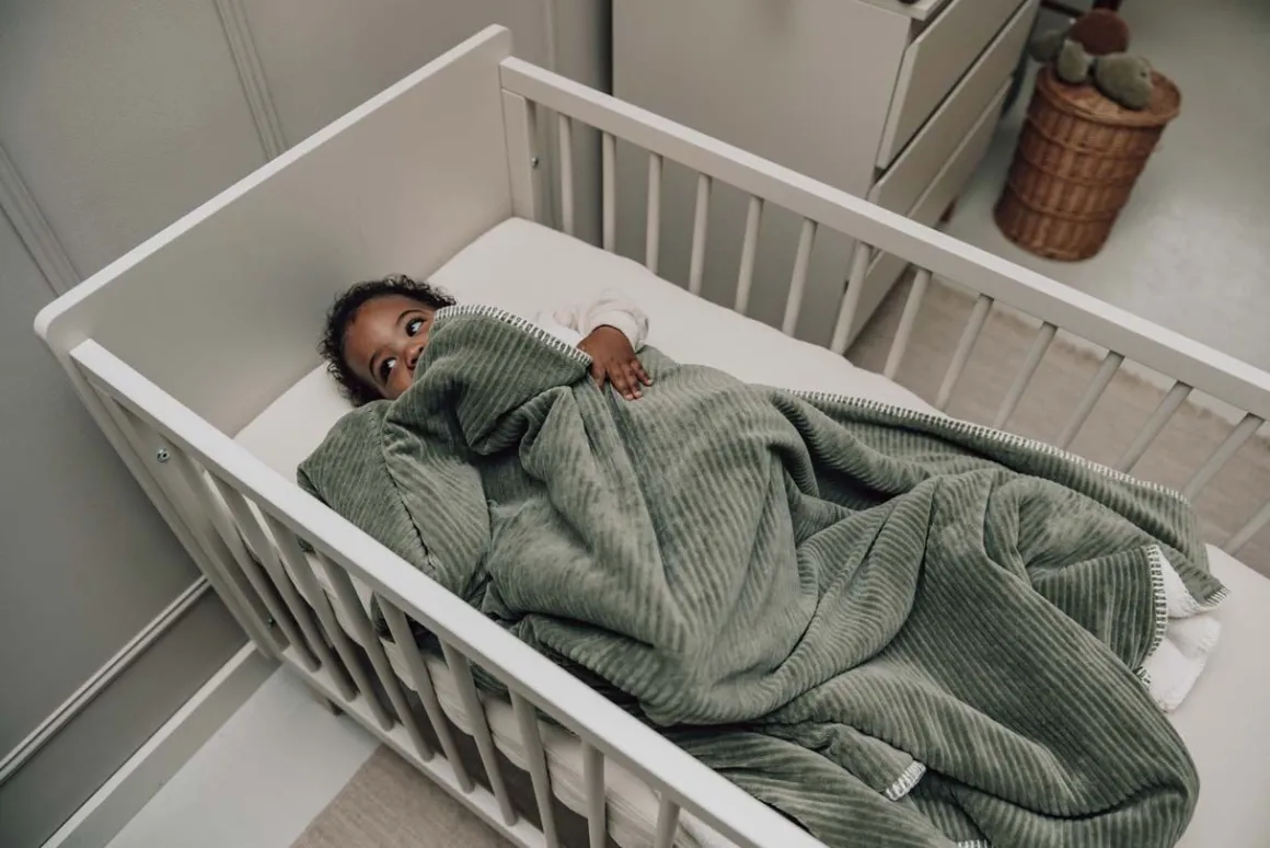 Koeka Ledikantdeken Teddy Vik Moss 100x150 cm