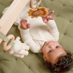 Little Dutch Babygym Little Farm