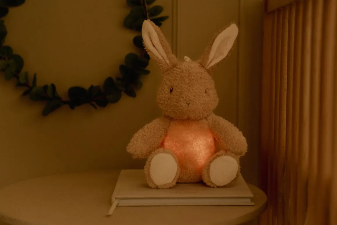 Little Dutch Knuffelkonijn Licht & Geluid