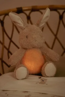 Little Dutch Knuffelkonijn Licht & Geluid