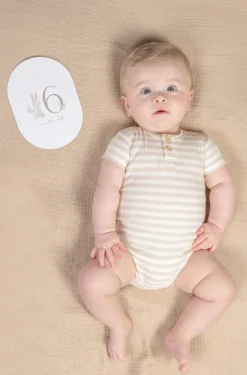 Little Dutch Mijlpaal Kaarten 'Mijn Eerste Jaar' Baby Bunny FSC