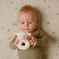 Little Dutch Rammelaar schaap Little Farm