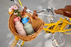 Lässig Bottle Stainless Steel Sunny Explorer Rose/Lilac