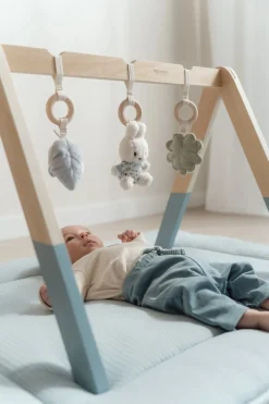 Nijntje Babygym Lucky Leaves