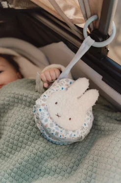 Nijntje Buggyboekje Lucky Leaves