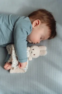 Nijntje Geschenkdoos Lucky Leaves