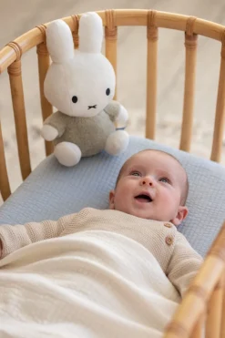 Nijntje Knuffel 25cm Fluffy green