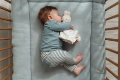 Nijntje Knuffeldoekje Lucky Leaves