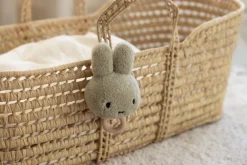 Nijntje Muziekdoosje Fluffy green