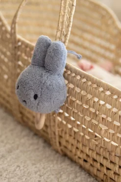 Nijntje Muziekdoosje Fluffy blue