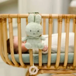 Nijntje Muziekdoosje Green Flower