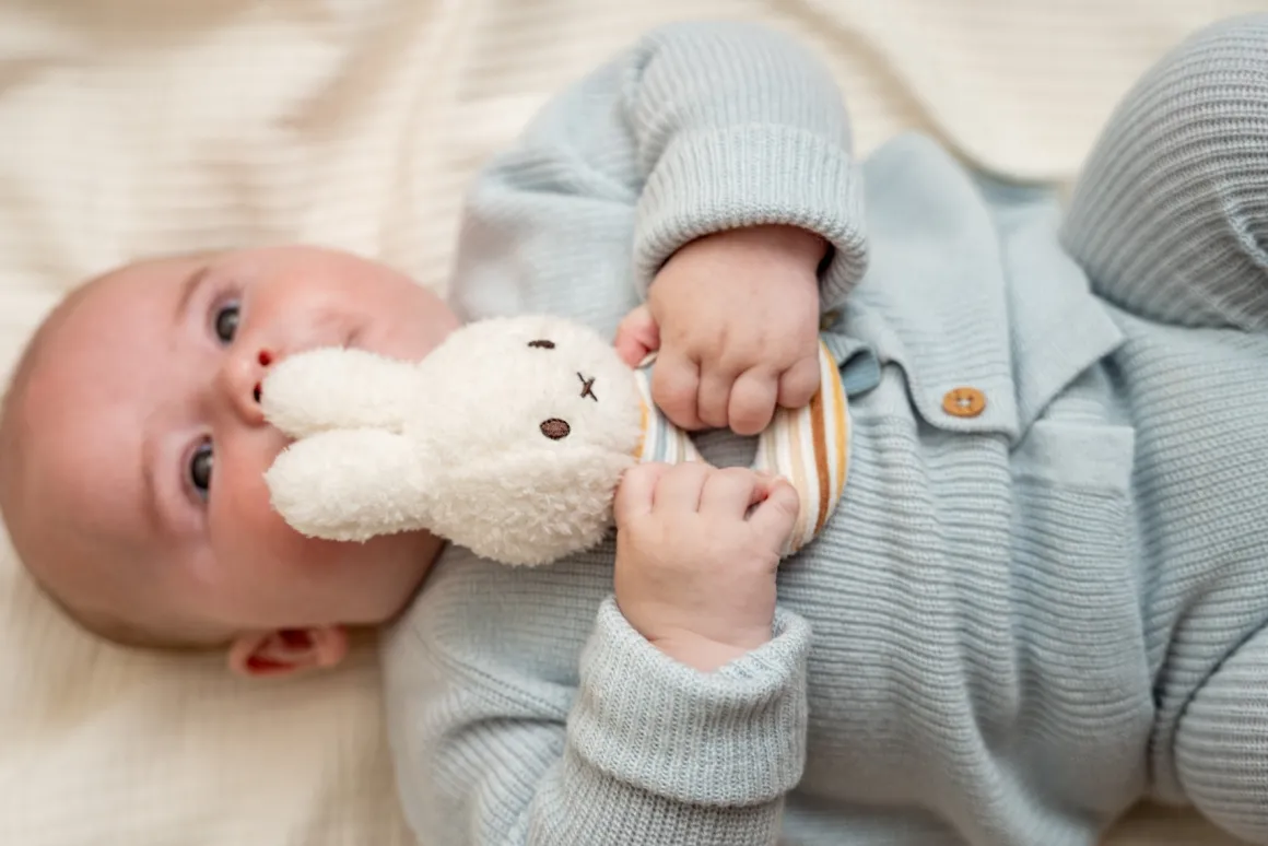 Nijntje Rammelaar Vintage Sunny Stripes