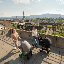 Nuna LYTL™ Opvouwbare Reiswieg Caviar