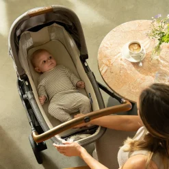 Nuna LYTL™ Opvouwbare Reiswieg Biscotti