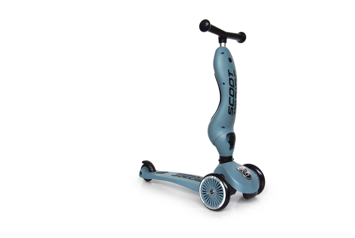 Scoot And Ride 2-in-1 Highwaykick Steel