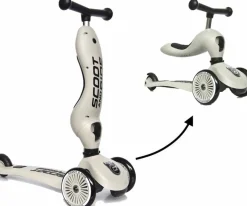 Scoot and Ride 2-in-1 Highwaykick Ash