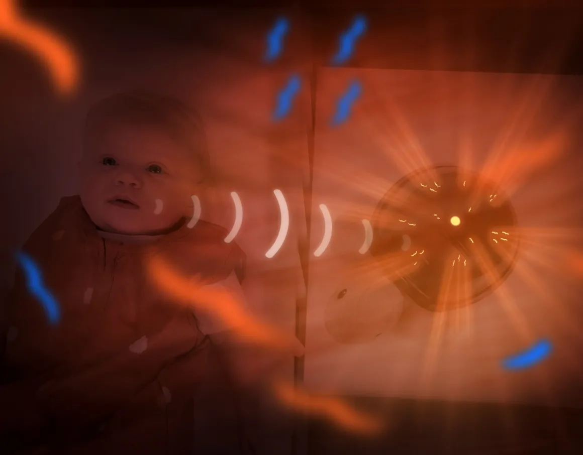 ZAZU Zonsondergang Projector Tim Schildpad