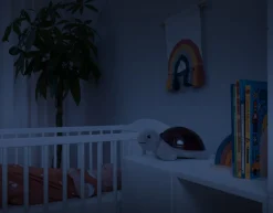 ZAZU Zonsondergang Projector Tim Schildpad