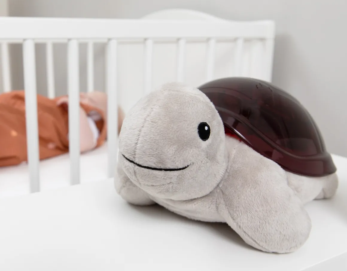 ZAZU Zonsondergang Projector Tim Schildpad